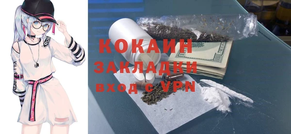 прущие грибы Арсеньев