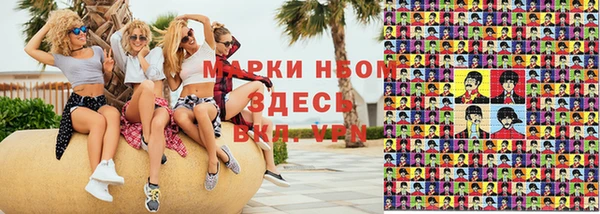 прущие грибы Арсеньев
