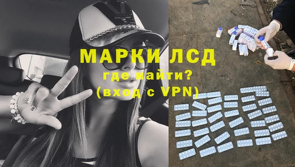 прущие грибы Арсеньев
