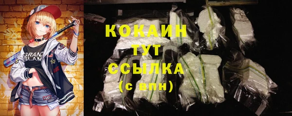 прущие грибы Арсеньев